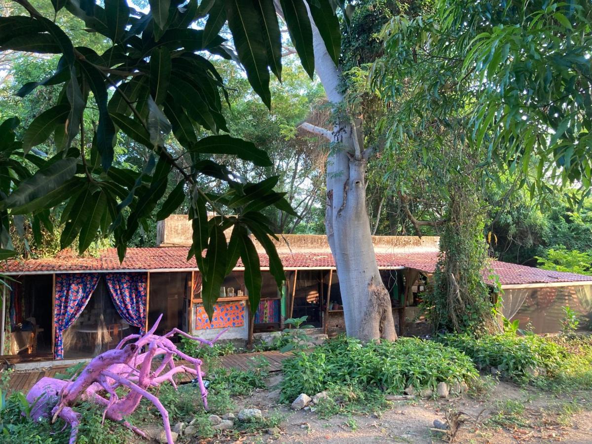 Planta Glamp Farm Hotel Santa María Huatulco Kültér fotó