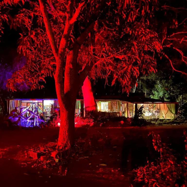Planta Glamp Farm Hotel Santa María Huatulco Kültér fotó